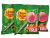 Chupa Chups 3pk 3x120g